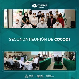 Segunda Sesión Ordinaria del Comité de Control y Desempeño Institucional COCODI 2022